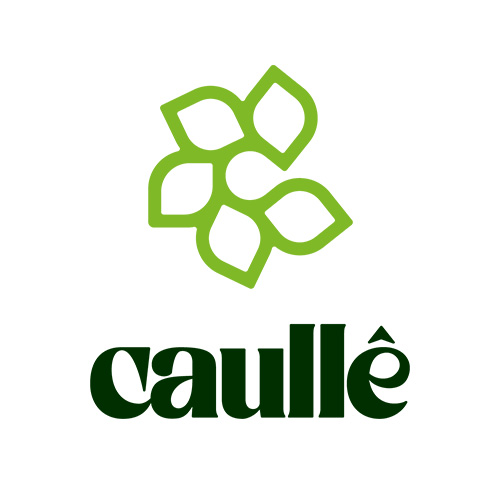 logotipo-caulle-novo